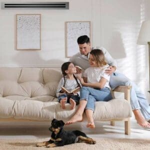 Pro Series Ducted Central Heating & Cooling Systems